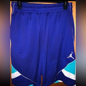 Men's Blue and Teal Athletic Shorts